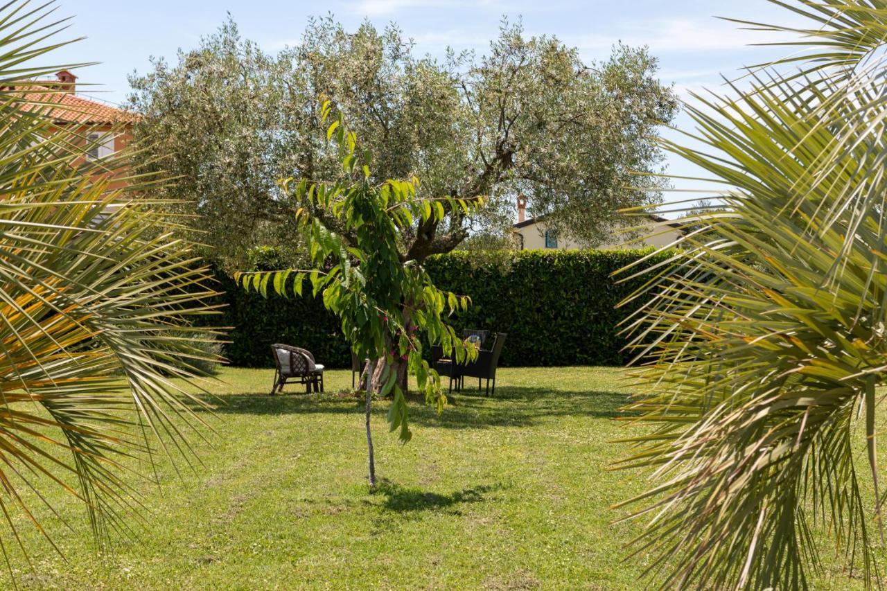 B&B Villa Oasa 1 Rovinj Exterior photo
